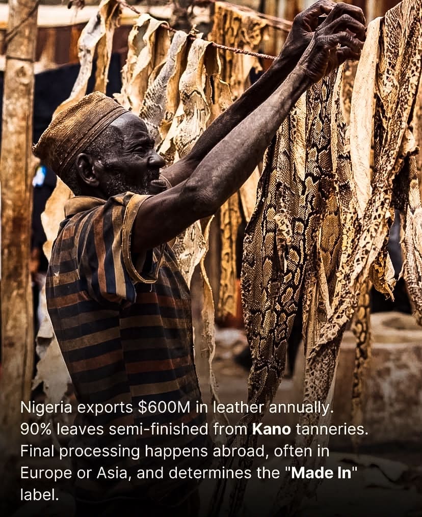 Tannery worker hanging python skins to dry in Kano